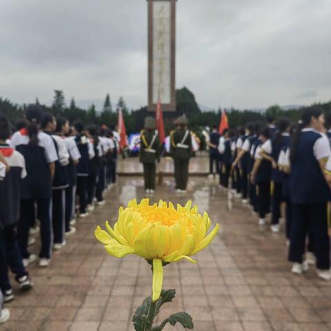 缅怀革命先烈，红色教育|清明节