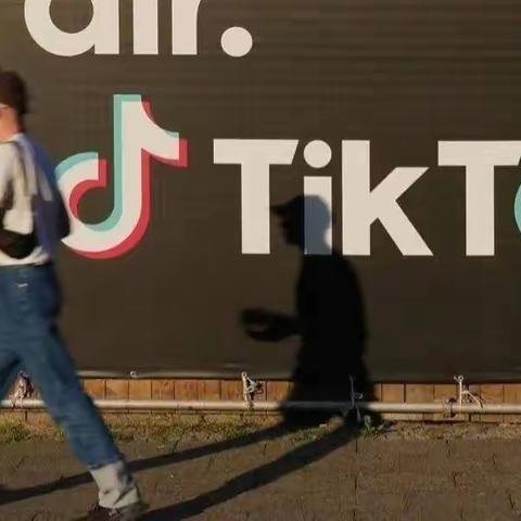 TikTok公会申请入驻要求和扶持政策