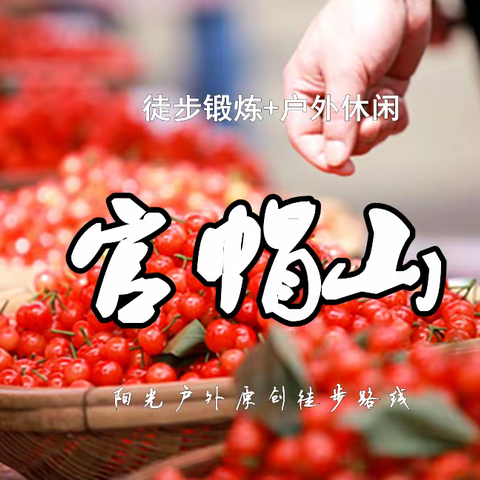 今天晚上就要根据报名情况订车了