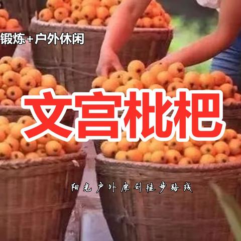 今天晚上就要根据报名情况订车了