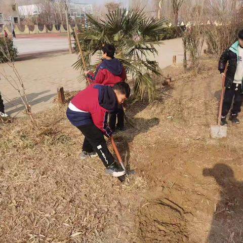 清除杂草 美化校园——开封大学附属小学劳动活动