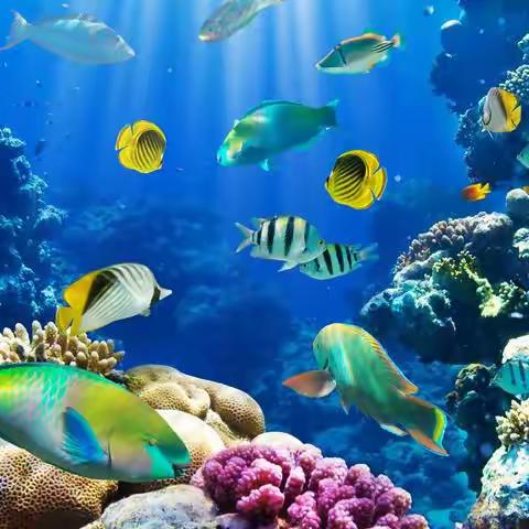 绘玩美术--海底世界