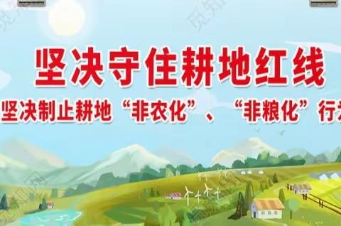 加压增措，狠抓落实——多措并举强力推进耕地流出问题整改