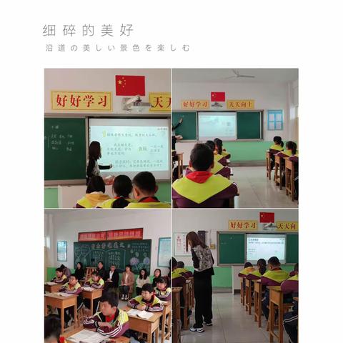 春暖花开，教研正当时——褚村小学听课全覆盖活动（四）