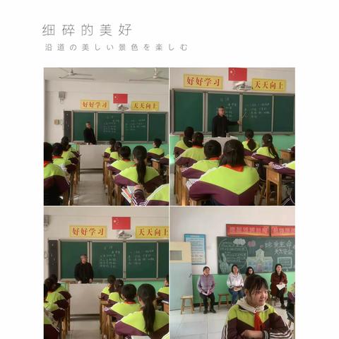 春暖花开，教研正当时——褚村小学听课全覆盖活动（三）