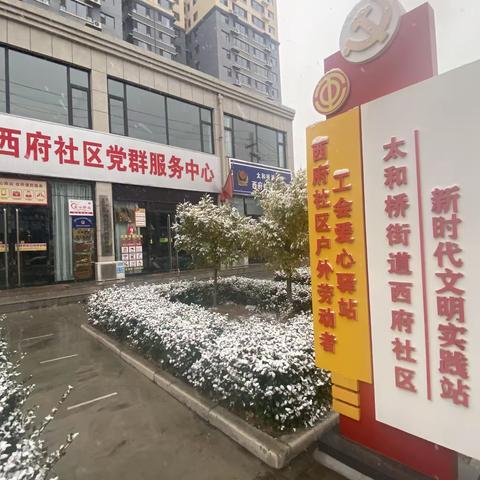 太和桥街道西府社区开展党员主题活动为您“风雪守护”