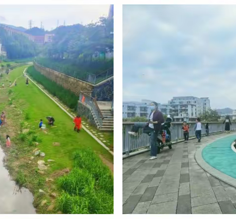 碧水蓝天绿满城，花鸟鱼翔羡芳华——梧桐山河碧道试点段