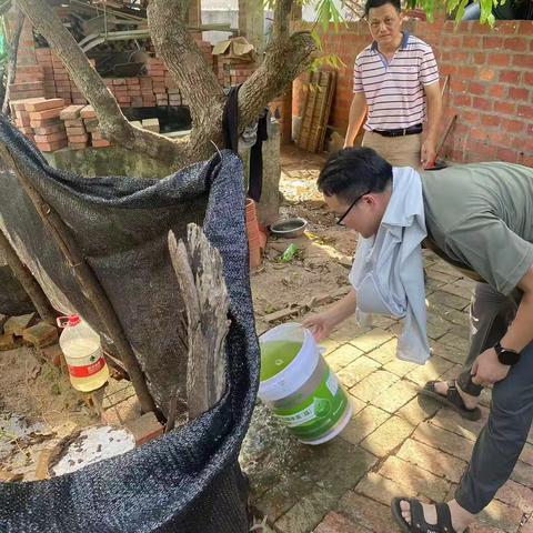 白马井镇学兰村委会常态化开展“基孔肯雅热、登革热”预防工作