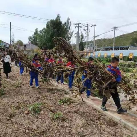 劳动至美 乐享丰收——马其沟小学劳动基地实践活动