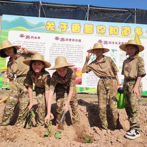 劳动砺心志，实践促成长—— 云实七(3)班实践活动 （插种红薯藤）