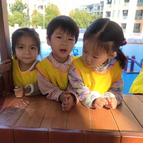 记录童真   记录美好💓--小三班第十二周周掠影