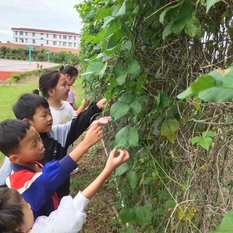 我们是小学生啦