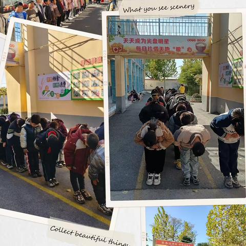 爱粮222天，用爱守护每一粒米，让勤俭之花绽放校园--沁阳市第二小学东校区222天“光盘行动”实践活动