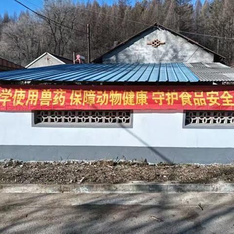 清原镇综合执法岗开展兽药残留与动物性食品安全宣传工作