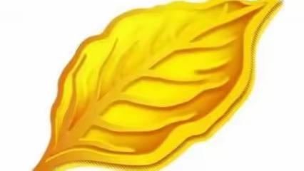 严把质量关 做好守护者