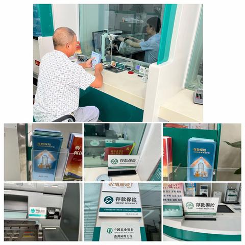 新洲凤凰支行存款保险宣传活动总结