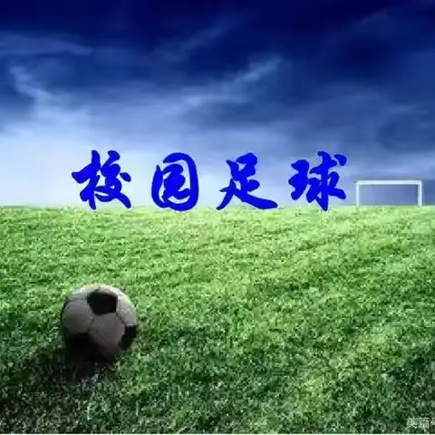 ［党建引领 ］青春飞扬 不可“足”挡——杨村乡张胡庄小学“校园足球”班级联赛
