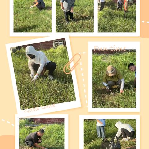 二年级六班暑期中草药基地实践活动