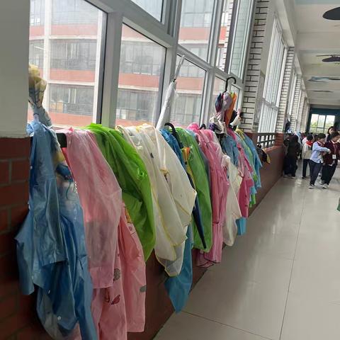 三年级六班雨衣雨伞收纳小课堂