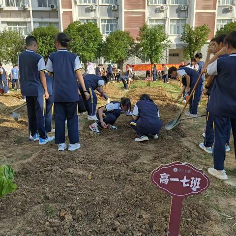 2307班劳动实践课----劳动最光荣