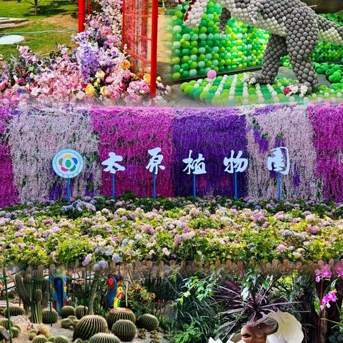 探索植物奥秘 感悟植物文化昌盛青少年宫各幼儿园“探秘自然·春日成长”太原植物园研学之旅