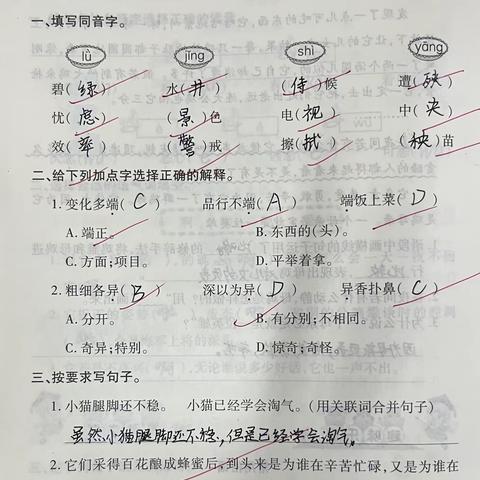 五年七班暑假优秀作业显示