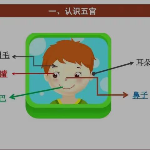 【认识我自己】－－内蒙古民族大学幼儿园小小一班10月主题活动