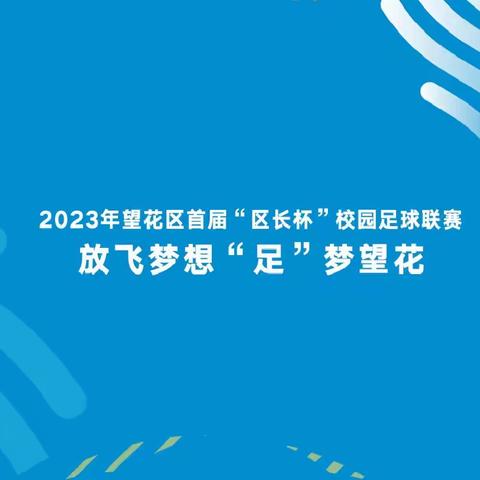 2023年望花区首届“区长杯”校园足球联赛圆满落幕