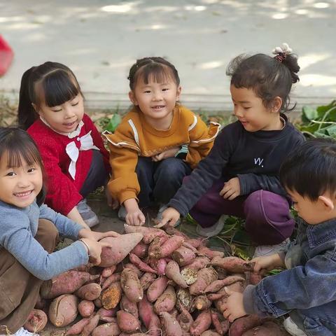 “食”刻相伴，“薯”🍠你最甜——冬日的第一份爱