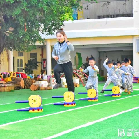 聚焦幼儿园体育活动教研 共筑幼儿美好未来