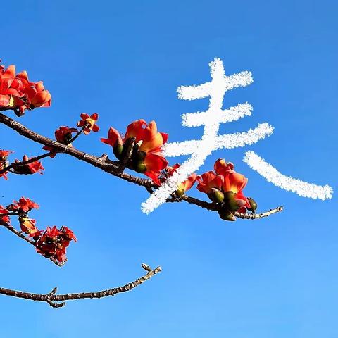 子乐教育-芳村校区第一讲开课啦