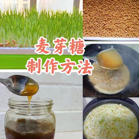 麦芽蜕变记 ‍——甜蜜麦芽糖实践行