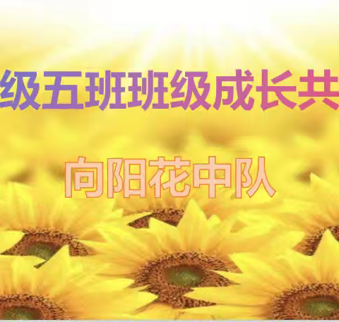 三年级五班班级成长共同体
