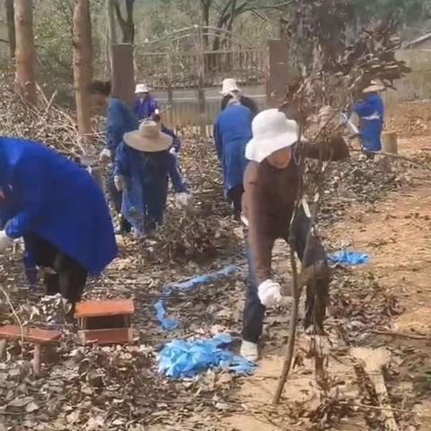 混元硕果的简篇
