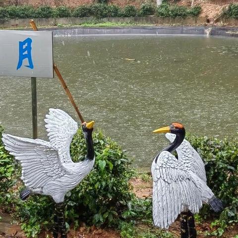 混元硕果的简篇