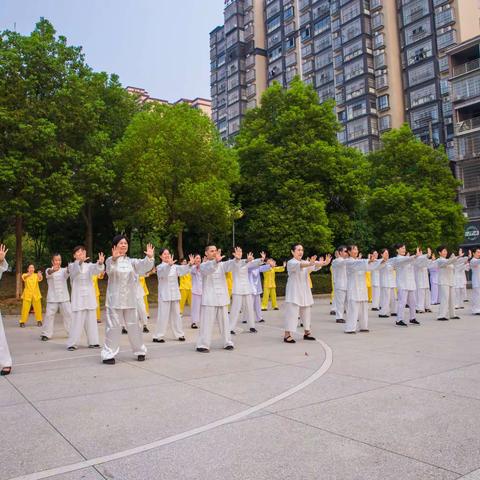鹤翔庄养生法 健身场景