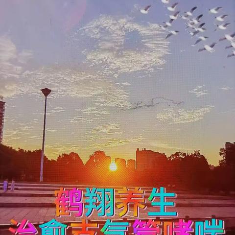 鹤阳的简篇