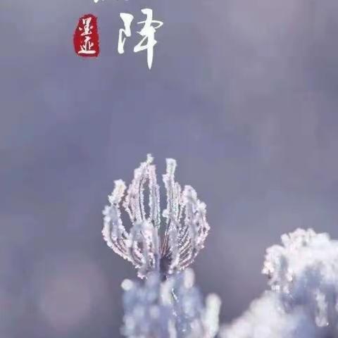 七彩.节气 | 时逢霜降至，童趣满深秋