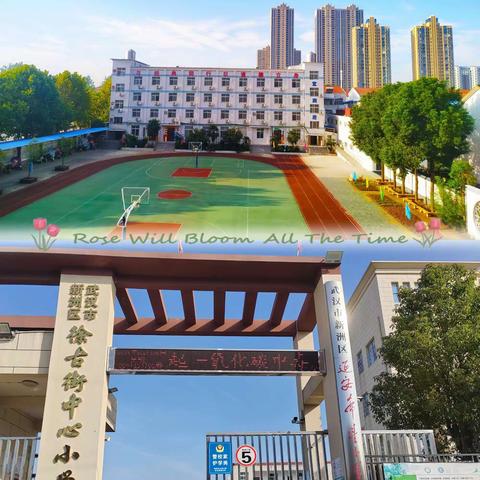 不负春光与时行，送教共研同提升——新洲区向东小学教联体“送教下乡”活动纪实