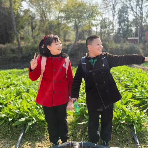 幸福是什么？1200天告诉你 ——厚外四年级八班社会生活实践感悟