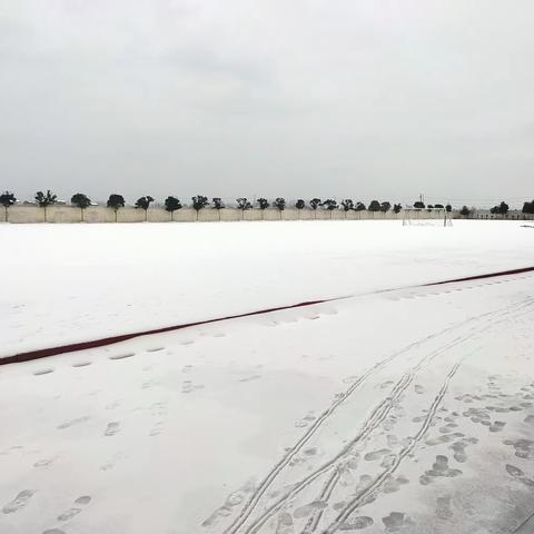 【郭铺小学】温情融积雪  爱意暖校园——郭铺小学开展除雪铲冰活动