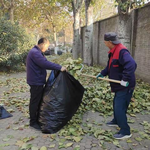 【全福街道黄台电厂社区】清扫落叶 美化家园