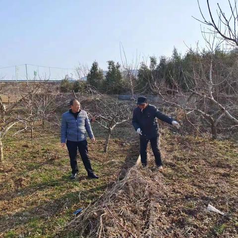 小河灌区保障所3月2日——3月8日工作动态