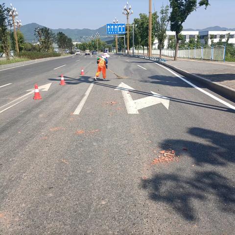 司科朗青凤项目2023年8月工作情况