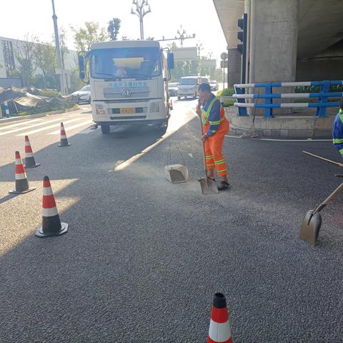 司科朗青凤项目2023年10月工作情况