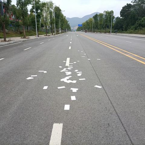 司科朗青凤项目2023年11月工作情况