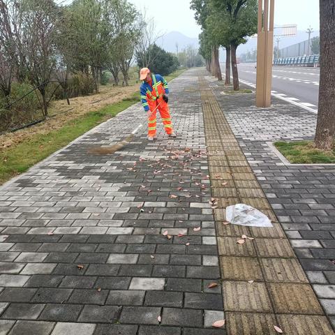 司科朗青凤项目2023年12月工作情况