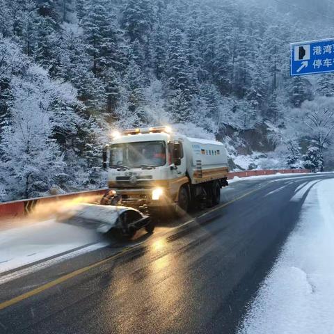 迭部公路段迅速应对降雪天气，保障管养公路安全畅通