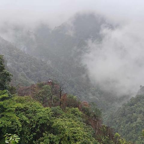 井冈山游之二