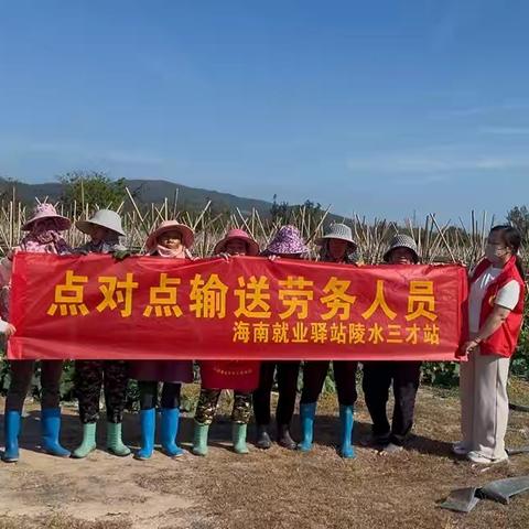 海南就业驿站陵水三才站本周工作汇报（2026.1.26-1.30）